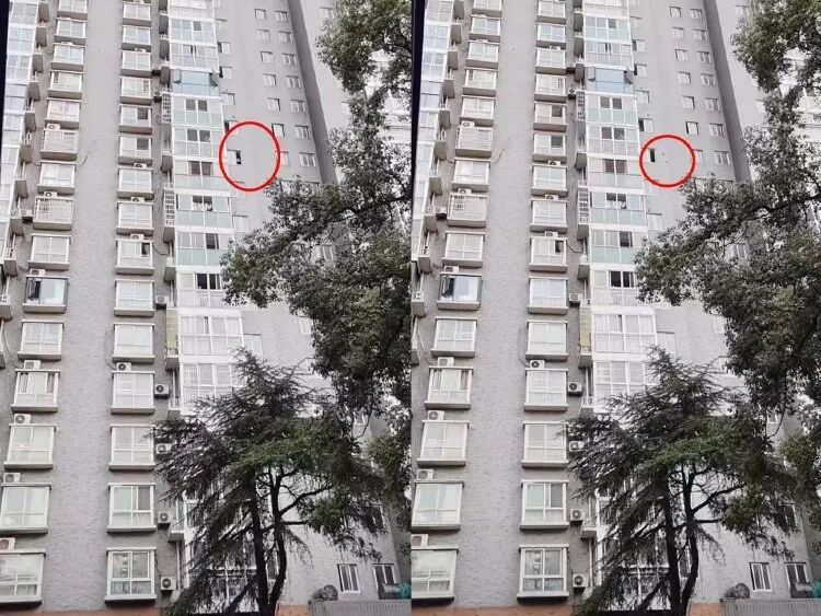 莫女士拍下有人高空抛物的情况，受访者供图 